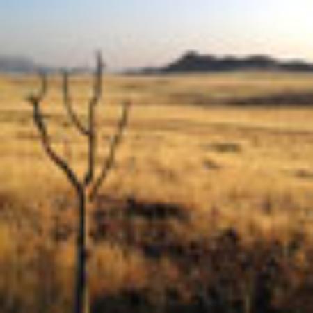 Caoba Lounge & Bistro